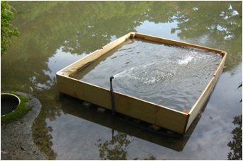 奈良・河合町庁舎池の浄化について